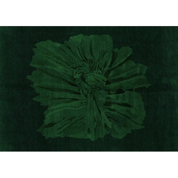 Ahgly Company Indoor Rectangle Abstract Green Modern Area Rugs, 2' x 4'