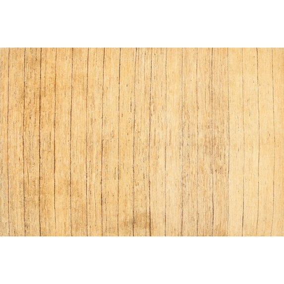 Ahgly Company Indoor Rectangle Contemporary Beer Orange Area Rugs, 7' x 10'