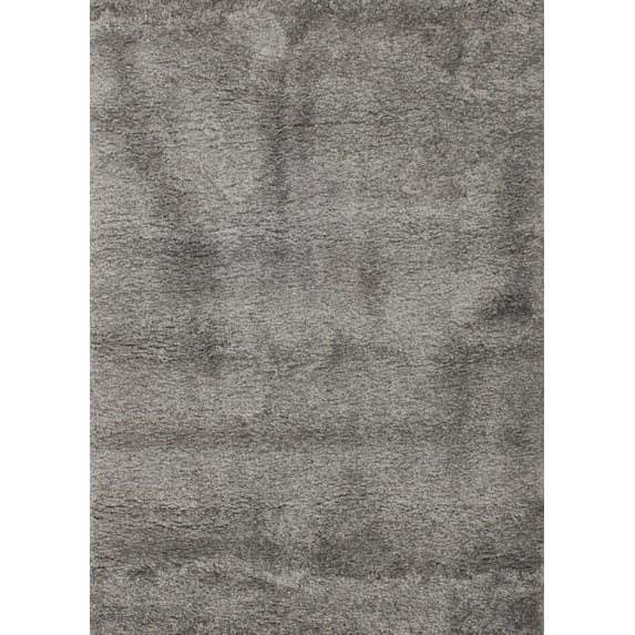 Ahgly Company Indoor Rectangle Contemporary Gunmetal Gray Area Rugs, 5' x 7'