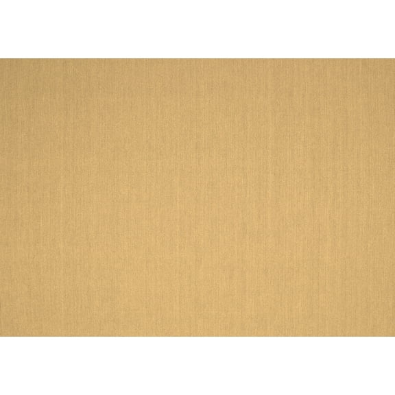 Ahgly Company Indoor Rectangle Solid Brown Modern Area Rugs, 2' x 3'