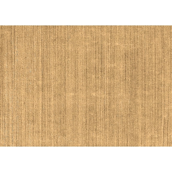 Ahgly Company Indoor Rectangle Solid Brown Modern Area Rugs, 2' x 3'