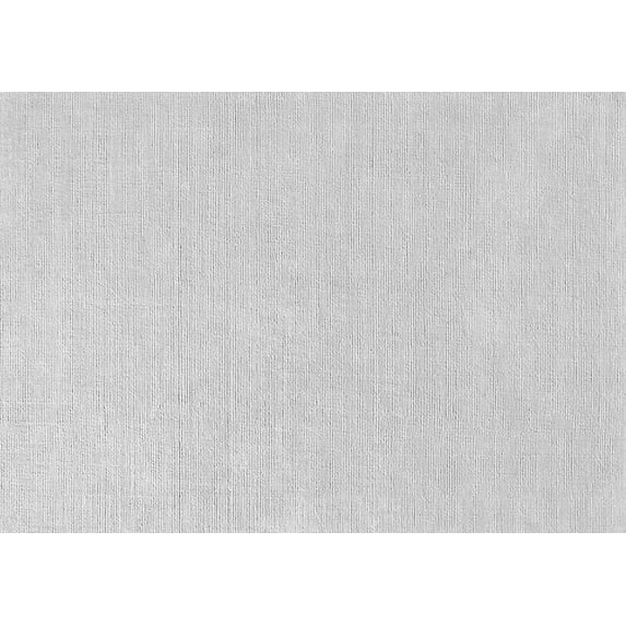 Ahgly Company Indoor Rectangle Solid Gray Modern Area Rugs, 4' x 6'