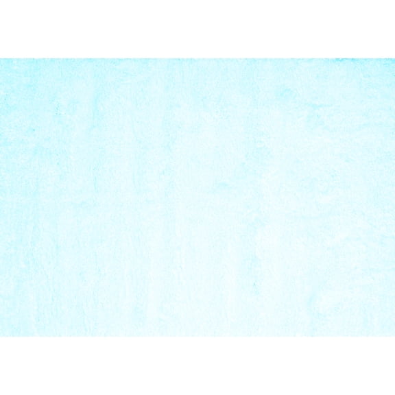 Ahgly Company Indoor Rectangle Solid Light Blue Modern Area Rugs, 2' x 5'