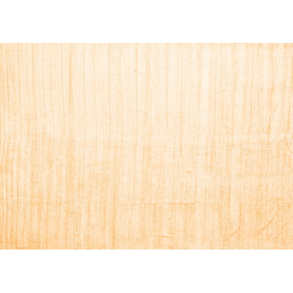 Ahgly Company Indoor Rectangle Solid Orange Modern Area Rugs, 2' x 5'