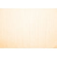 thumbnail image 1 of Ahgly Company Indoor Rectangle Solid Orange Modern Area Rugs, 3' x 5', 1 of 1