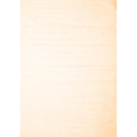 Ahgly Company Indoor Rectangle Solid Orange Modern Area Rugs, 3' x 5'