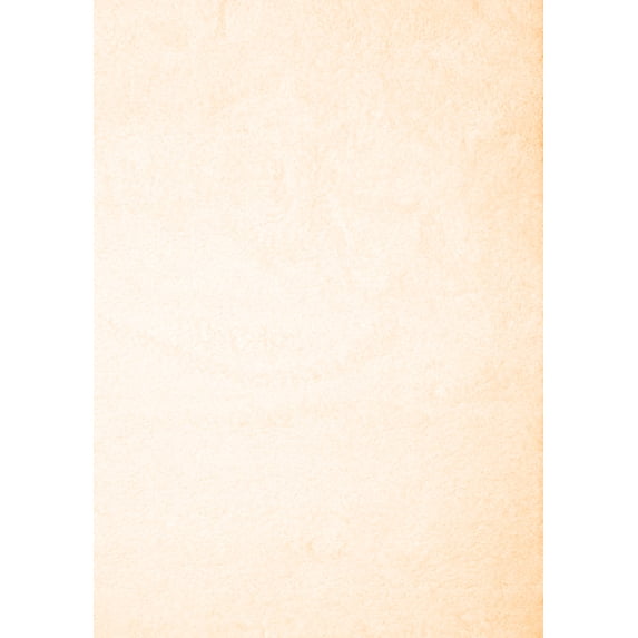 Ahgly Company Indoor Rectangle Solid Orange Modern Area Rugs, 5' x 7'