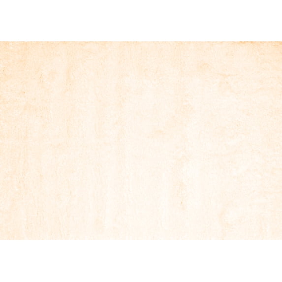 Ahgly Company Indoor Rectangle Solid Orange Modern Area Rugs, 7' x 9'