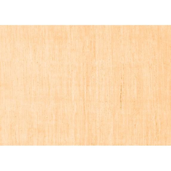 Ahgly Company Indoor Rectangle Solid Orange Modern Area Rugs, 8' x 12'