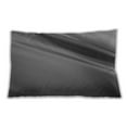 thumbnail image 1 of Ahgly Company Indoor Rectangular Contemporary Lumbar Throw Pillow, 13 inch by 19 inch, 1 of 5
