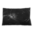 thumbnail image 1 of Ahgly Company Indoor Rectangular Contemporary Lumbar Throw Pillow, 13 inch by 19 inch, 1 of 5