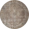 thumbnail image 1 of Ahgly Company Indoor Round Traditional Brown Persian Area Rugs, 3' Round, 1 of 6