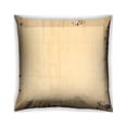 thumbnail image 1 of Ahgly Company Indoor Square Contemporary Throw Pillow, 18 inch by 18 inch, 1 of 6