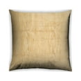 thumbnail image 1 of Ahgly Company Indoor Square Contemporary Throw Pillow, 18 inch by 18 inch, 1 of 6