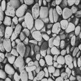 thumbnail image 1 of Ahgly Company Indoor Square Patterned Light Black Novelty Area Rugs, 8' Square, 1 of 6