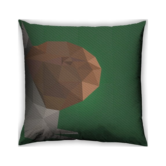 Ahgly Company Indoor Square Patterned Throw Pillow, 18 inch by 18 inch