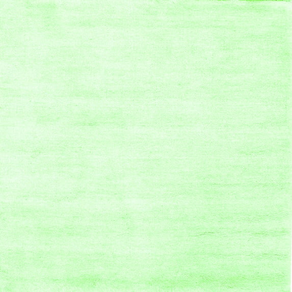 Ahgly Company Indoor Square Solid Green Modern Area Rugs, 5' Square