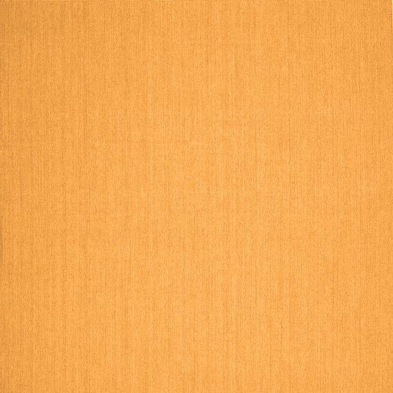 Ahgly Company Indoor Square Solid Orange Modern Area Rugs, 5' Square
