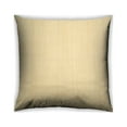 thumbnail image 1 of Ahgly Company Outdoor Square Contemporary Throw Pillow, 18 inch by 18 inch, 1 of 6
