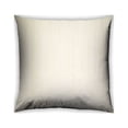 thumbnail image 1 of Ahgly Company Outdoor Square Contemporary Throw Pillow, 18 inch by 18 inch, 1 of 6