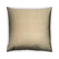 thumbnail image 1 of Ahgly Company Outdoor Square Contemporary Throw Pillow, 18 inch by 18 inch, 1 of 6