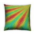 thumbnail image 1 of Ahgly Company Outdoor Square Patterned Throw Pillow, 18 inch by 18 inch, 1 of 6