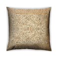 thumbnail image 1 of Ahgly Company Outdoor Square Traditional Throw Pillow, 18 inch by 18 inch, 1 of 6
