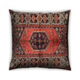 thumbnail image 1 of Ahgly Company Outdoor Square Traditional Throw Pillow, 18 inch by 18 inch, 1 of 6