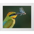 thumbnail image 1 of Ahmadabdelhameed 14x12 White Modern Wood Framed Museum Art Print Titled - Rainbow Bee-Eater, 1 of 4