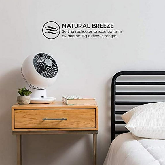 AiEr Woozoo 5-Speed Remote Control Oscillating Globe Fan