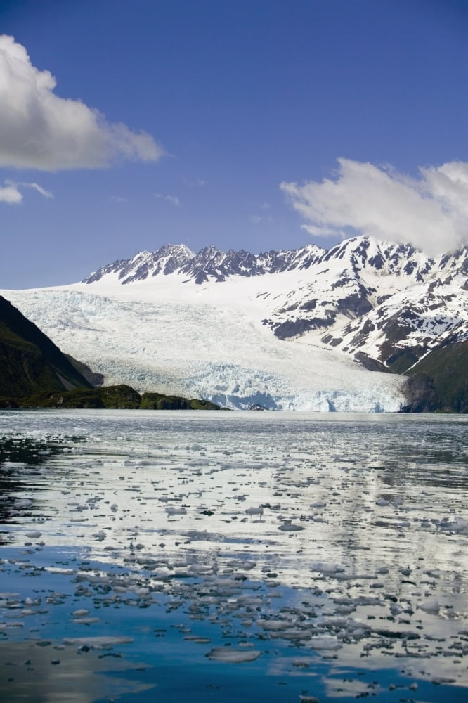 Aialik Glacier Meets Aialik Bay Within The Kenai Fjords National Park Summer Southcentral Alaska Canvas Art - Kevin Smith Design Pics (22 x 34)