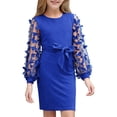 thumbnail image 1 of Aideaone Girls Butterfly Dress 3D Applique Mesh Puff Sleeve Belted Party Dress 7-16 Years, 1 of 7