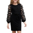 thumbnail image 1 of Aideaone Girls Butterfly Dress 3D Applique Mesh Puff Sleeve Belted Party Dress 7-16 Years, 1 of 8