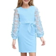 thumbnail image 1 of Aideaone Girls Butterfly Dress 3D Applique Mesh Puff Sleeve Belted Party Dress 7-16 Years, 1 of 7