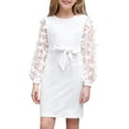 thumbnail image 1 of Aideaone Girls Butterfly Dress 3D Applique Mesh Puff Sleeve Belted Party Dress 7-16 Years, 1 of 7