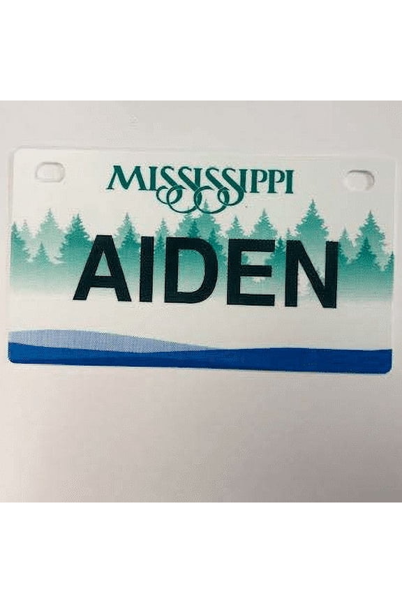 Mini Bike Plate Add On Accessory