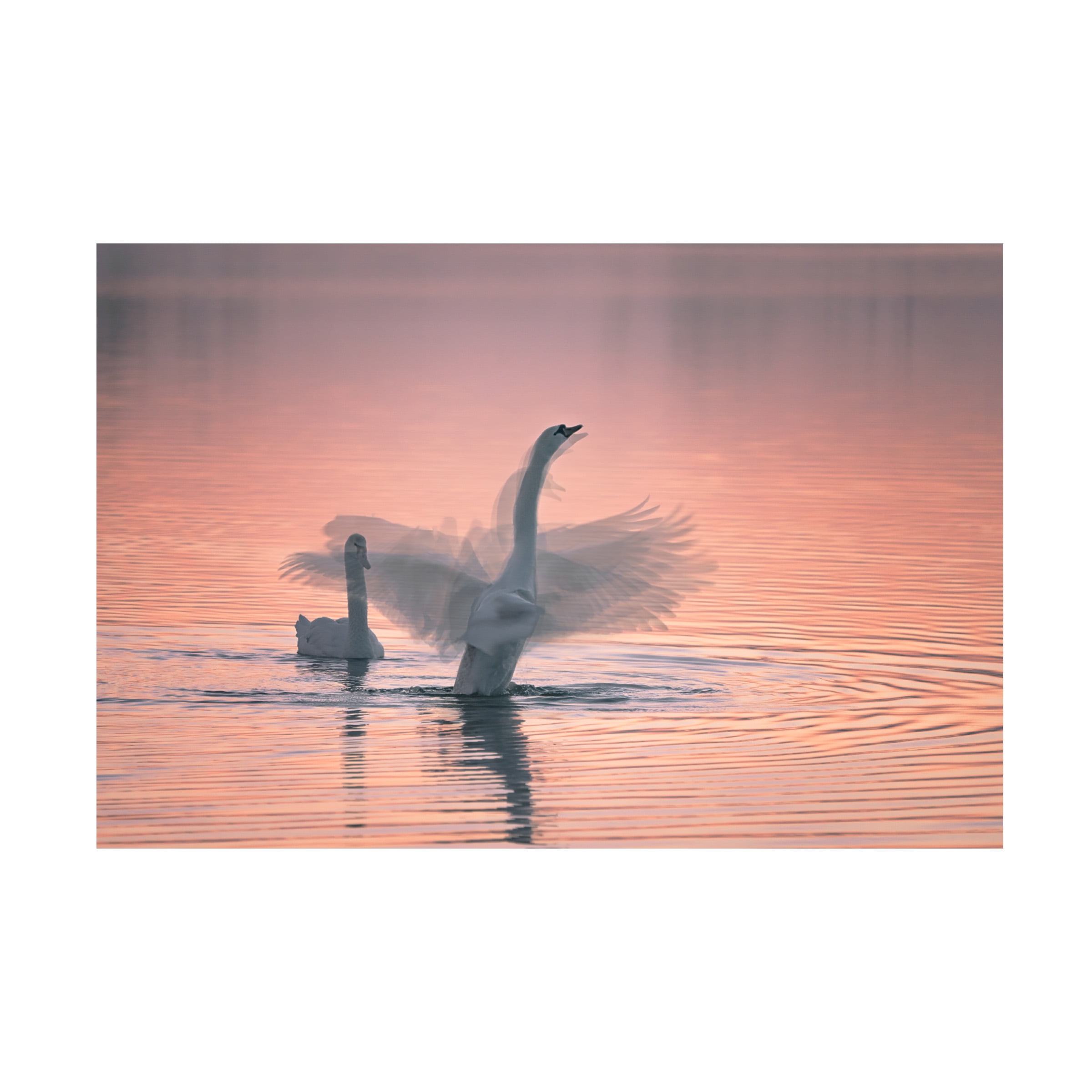 Aidong Ning 'Dancing For You' Canvas Art