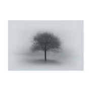 Aidong Ning 'Tree In Fog' Canvas Art