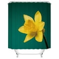 thumbnail image 1 of Aidoshy Various Patterns Shower Shower Curtain Bathroom Shower Curtain Digital Printing Polyester Shower Curtain Shower Curtain Liner Bathroom, 1 of 2