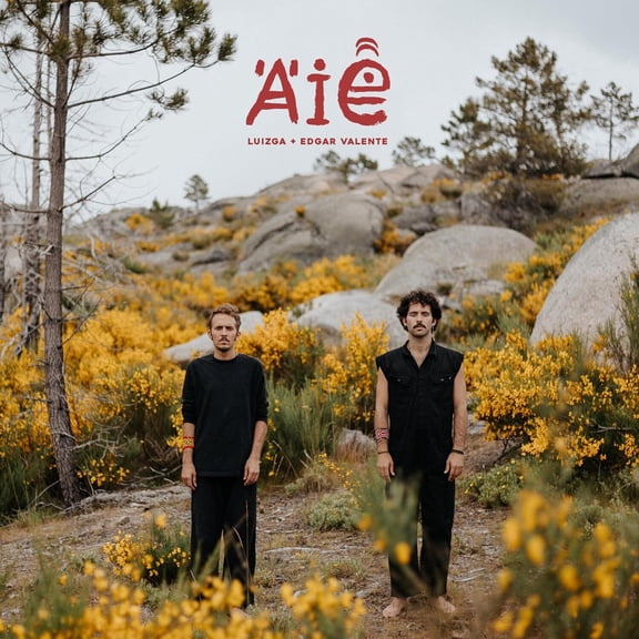 Aie (LP)