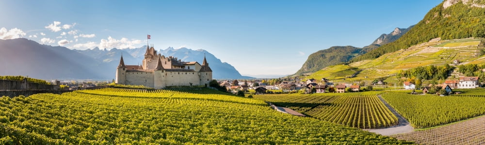 Aigle Castle surrounded by vine fields Aigle Vaud Switzerland Canvas Art - Panoramic Images (27 x 9)