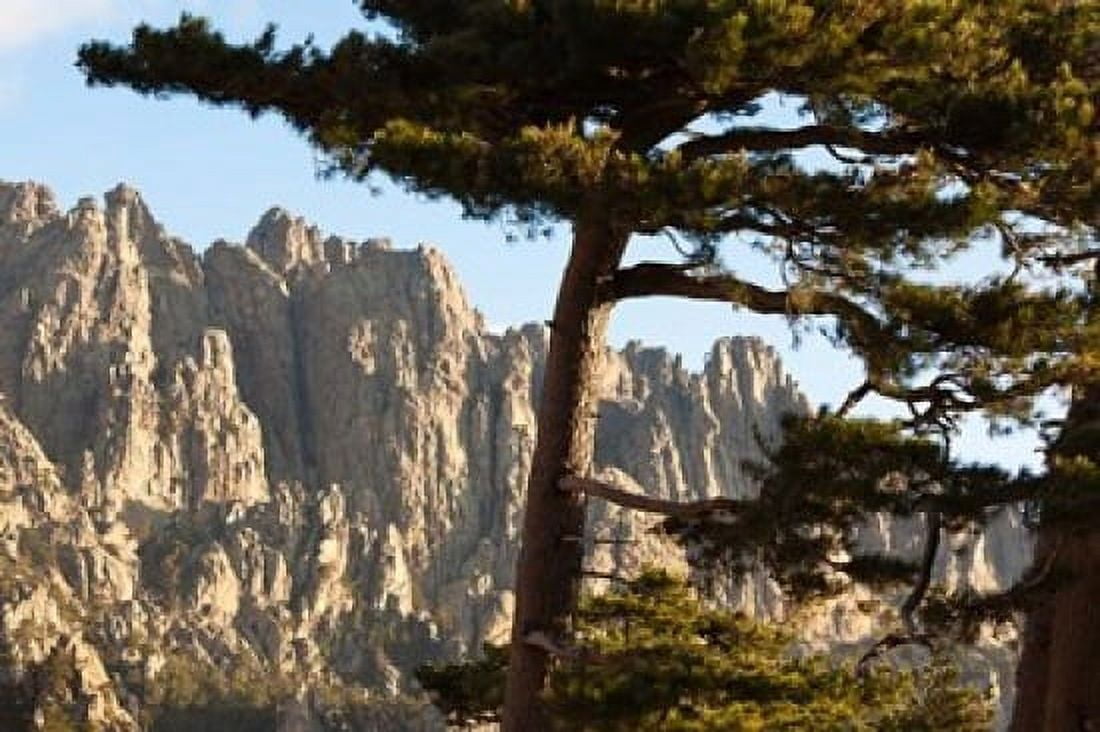 Aiguilles de Bavella Peaks Canvas Art - Walter Bibikow DanitaDelimont (28 x 19)