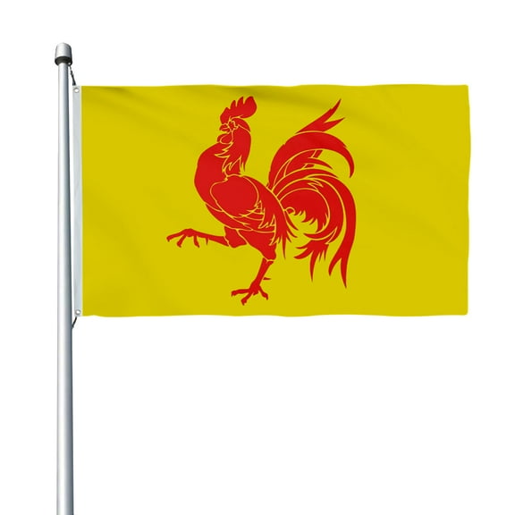 Aihccy Coq Walloon Flag with Brass Grommets Size - 3x5Ft