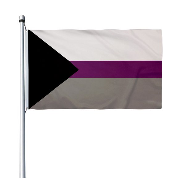 Aihccy Demisexual Flag with Brass Grommets Size - 3x5Ft