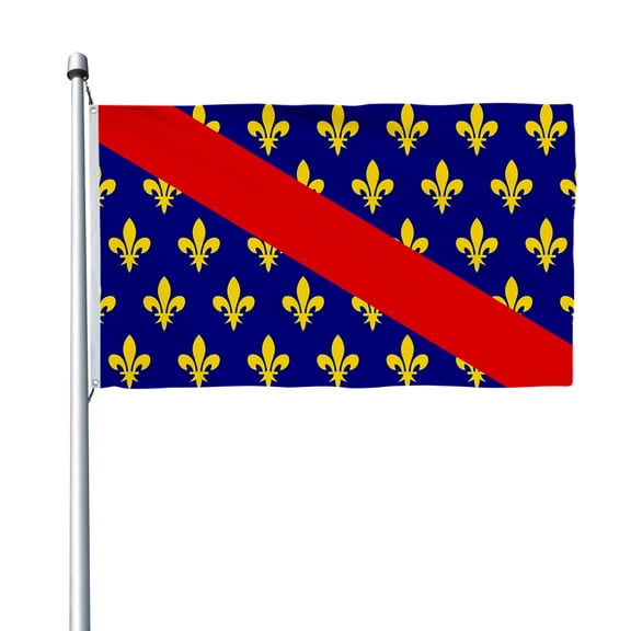Aihccy French Province of Bourbonnais Flag with Brass Grommets Size - 3x5Ft