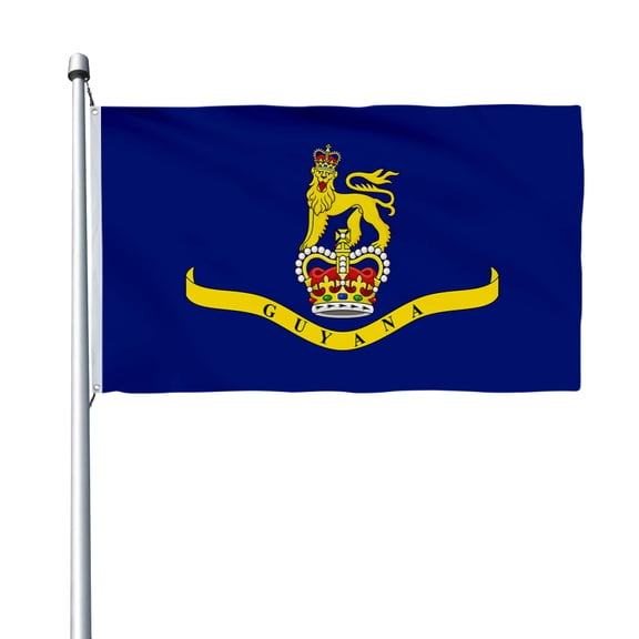 Aihccy Governor-General of Guyana 1966-1970 Flag with Brass Grommets Size - 3x5Ft