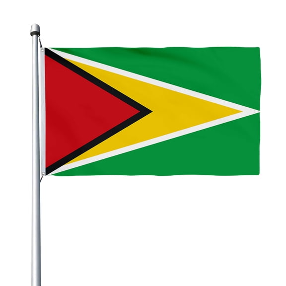 Aihccy Guyana Flag with Brass Grommets Size - 3x5Ft
