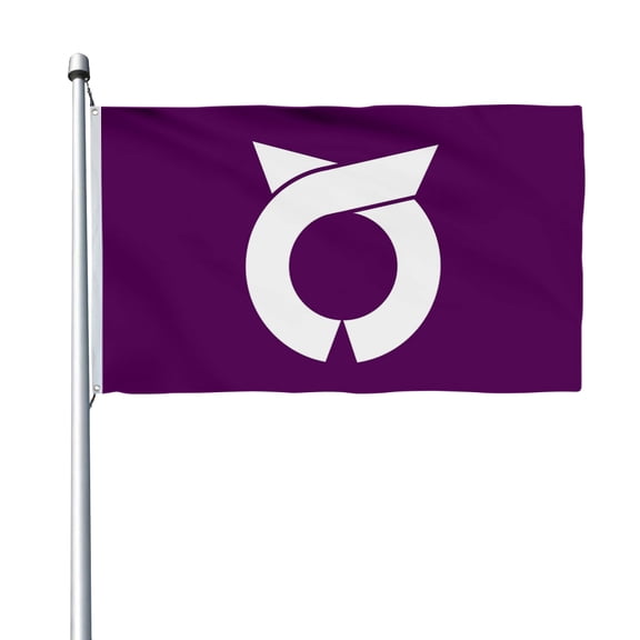 Aihccy Itoman, Okinawa Flag with Brass Grommets Size - 3x5Ft