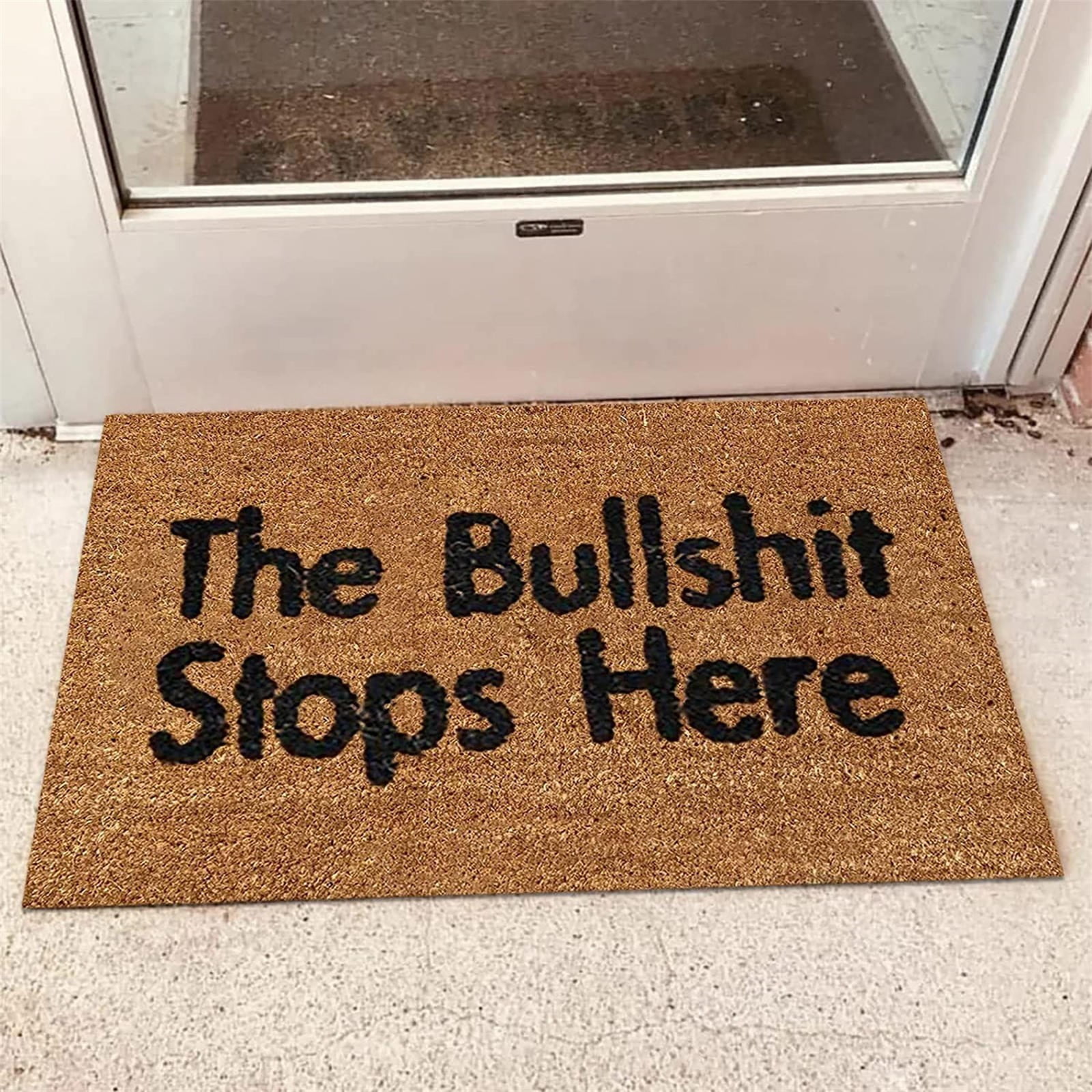 Aihimol Funny Doormat for Indoor Outdoor Audacity Definition