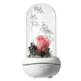 thumbnail image 1 of Aihimol Night Light Mist Diffusers Light Aroma Diffuser Everlasting Flower LED Rose Humidifier Silk Rose Flower Lamp Diffuser Rose Eternal Flower, 1 of 6